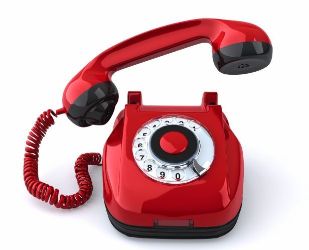 Прямая телефонная линия у генерального директора Минского ГПЛХО