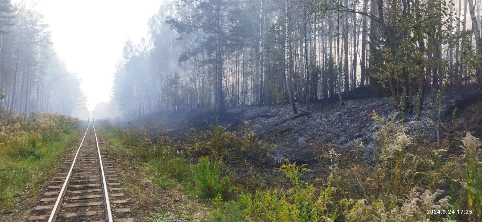 Возгорание в Руденском лесничестве