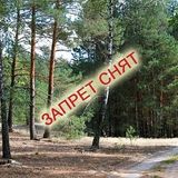 Снятие запрета на ограничение посещения леса