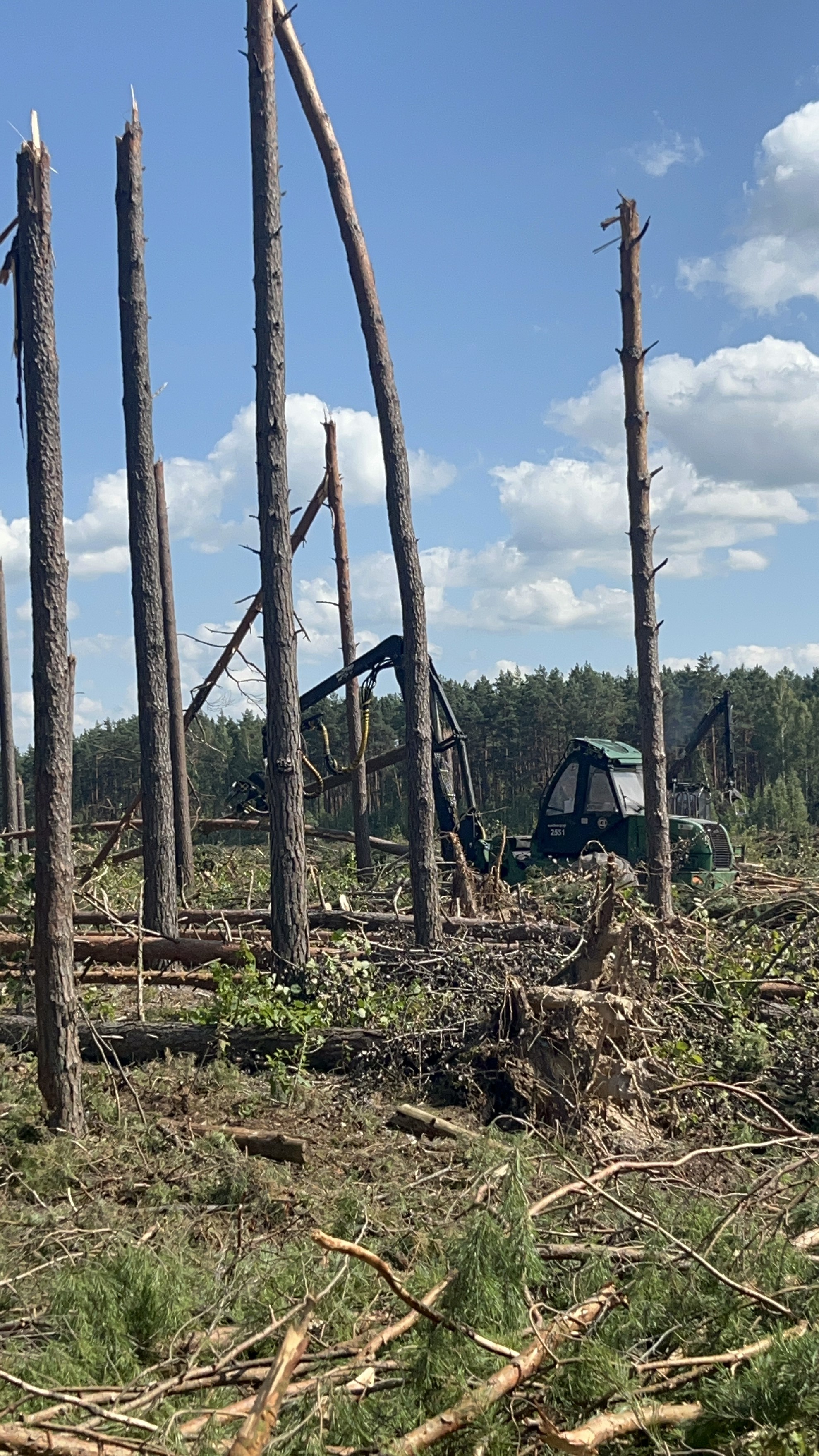 Последствия июльского урагана на  лесосеках в  Жлобинском  районе Гомельской  области помогают устранять работники Пховичского лесхоза