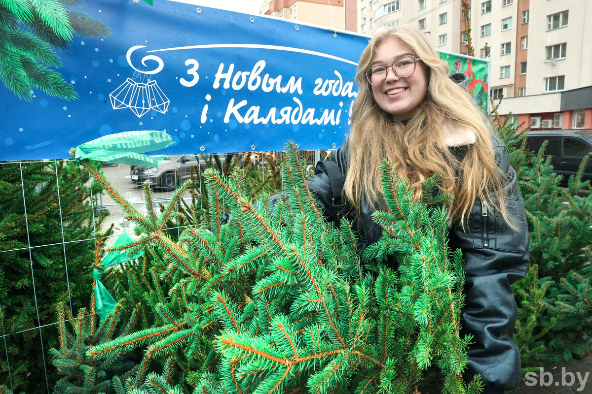 Цены, адреса и тренды —рассказали, где купить елку на Новый год