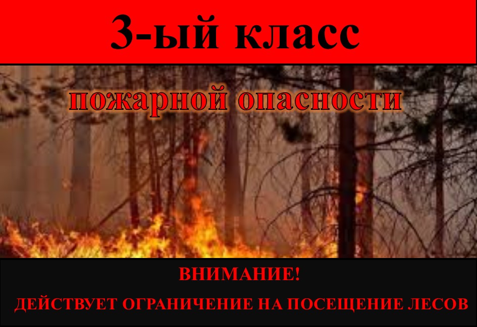 3-ий класс пожарной опасности