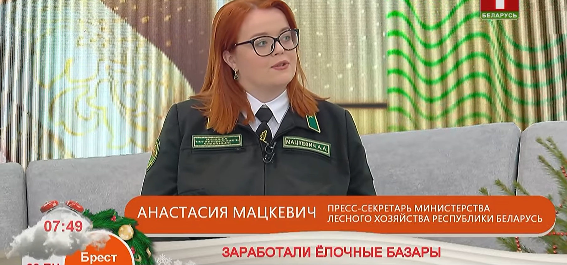 Елочные базары от лесхозов: ассортимент и цены