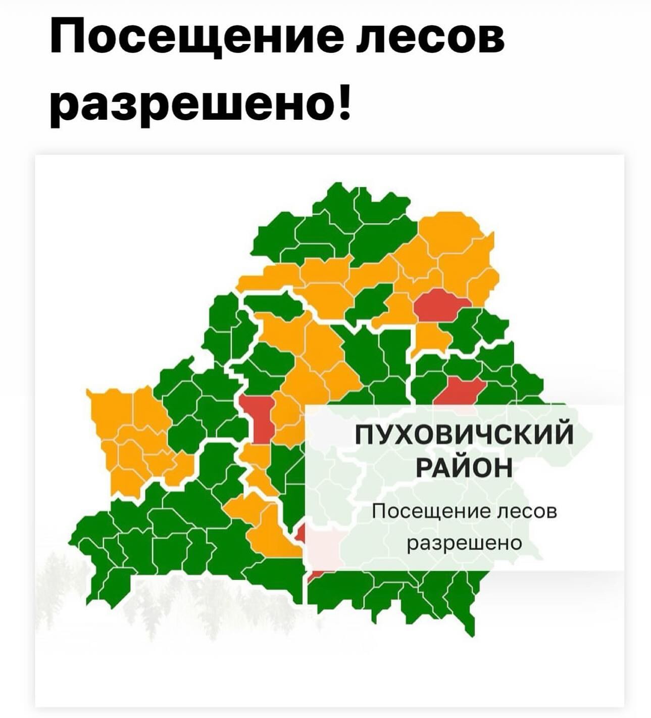 Государственное лесохозяйственное учреждение «Пуховичский лесхоз»